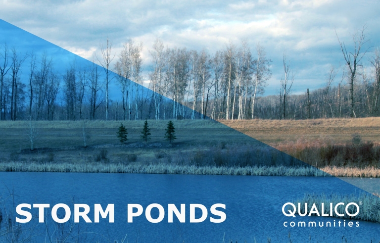 Storm Ponds - what are they for?